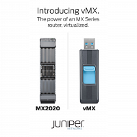 ПО Juniper  vMX в Максэлектро