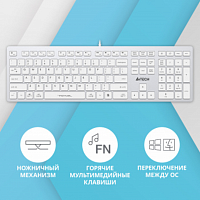 Клавиатура A4Tech Fstyler FX50 белый USB slim Multimedia (FX50 WHITE) в Максэлектро