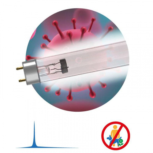 Лампа бактерицидная ультрафиолетовая T8/30Вт UV-С ДБ 30 Т8 G13 ЭРА Б0048973 в Максэлектро