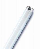Лампа люминесцентная L 36W/840 LUMILUX 36Вт T8 4000К G13 смол. OSRAM 4008321581419 в Максэлектро