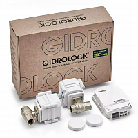 Комплект GIDROLOCK STANDART RADIO G-LOCK 1/2 (39201061) в Максэлектро