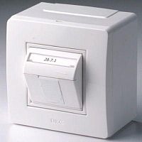 Коробка PDD-N60 с 1 розеткой Brava RJ45 кат.5E (телефон/компьютер) бел. DKC 10665 в Максэлектро