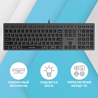 Клавиатура A4Tech Fstyler FX60 серый USB slim LED (FX60 GREY / WHITE) в Максэлектро