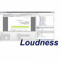 MultiScreen измерение интегрального уровня громкости Loudness Meter (1 канал) в Максэлектро
