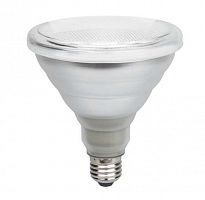 Лампа светодиодная PPG PAR38 Agro 15Вт рефлектор прозрачная E27 185-265В IP54 для растений красн./син. JazzWay 5004702 в Максэлектро