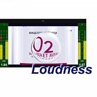 MultiScreen измерение интегрального уровня громкости и визуализация Loudness Meter (1 канал) в Максэлектро