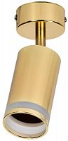 Светильник 4006 настенно-потолочный под лампу GU10 золото IEK LT-USB0-4006-GU10-1-K22 в Максэлектро